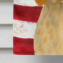 Load image into Gallery viewer, Orange Belton English Setter American Flag House Flag