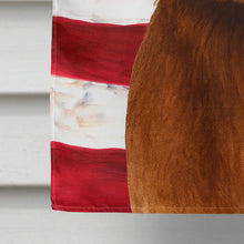 Load image into Gallery viewer, Liver Flat-Coated Retriever American Flag House Flag