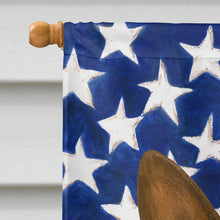 Load image into Gallery viewer, Chocolate and Rust Miniature Pinscher American Flag House Flag