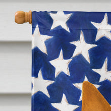 Load image into Gallery viewer, Red Miniature Pinscher American Flag House Flag