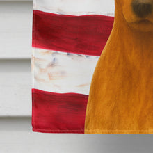 Load image into Gallery viewer, Red Miniature Pinscher American Flag House Flag