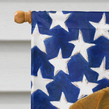 Load image into Gallery viewer, Grizzle and Tan Norfolk Terrier American Flag House Flag
