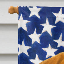 Load image into Gallery viewer, Red Norfolk Terrier American Flag House Flag