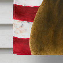 Load image into Gallery viewer, Liver Pointer American Flag House Flag
