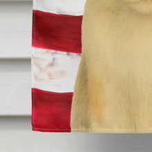 Load image into Gallery viewer, Dilute Calico Cat American House Flag