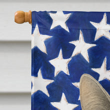 Load image into Gallery viewer, Dilute Tortoiseshell Cat American House Flag