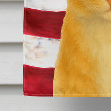 Load image into Gallery viewer, Orange and White Cat American House Flag