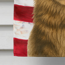Load image into Gallery viewer, MainCoon Brown Tabby Cat American House Flag