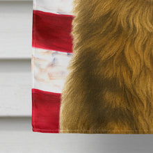 Load image into Gallery viewer, Norwegian Forest Cat Brown Tabby American House Flag