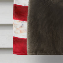 Load image into Gallery viewer, Persian Black Cat American House Flag