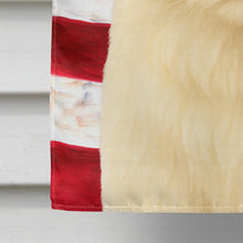 Load image into Gallery viewer, Persian White Cat American House Flag