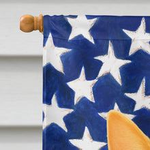Load image into Gallery viewer, Flame Point Cat American House Flag