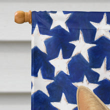 Load image into Gallery viewer, Lilac Point Cat American House Flag