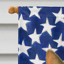 Load image into Gallery viewer, Tortie Point Cat American House Flag