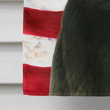 Load image into Gallery viewer, Black Cat American House Flag