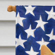 Load image into Gallery viewer, Cream Cat American House Flag
