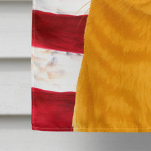 Load image into Gallery viewer, Red Cat American House Flag