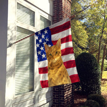 Load image into Gallery viewer, Spotted Brown Tabby Cat American House Flag