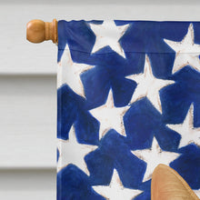 Load image into Gallery viewer, Spotted Brown Tabby Cat American House Flag