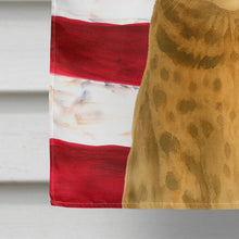 Load image into Gallery viewer, Spotted Brown Tabby Cat American House Flag