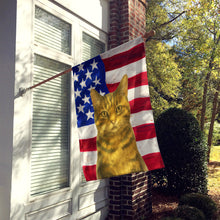 Load image into Gallery viewer, Brown Tabby Cat American House Flag