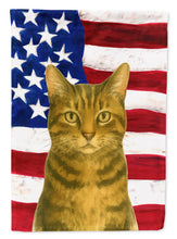 Load image into Gallery viewer, Brown Tabby Cat American House Flag