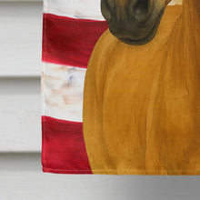 Load image into Gallery viewer, Buckskin Quarter Horse American House Flag