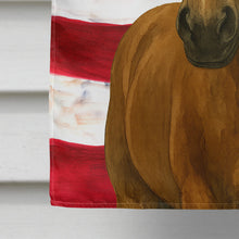 Load image into Gallery viewer, Bay Dutch Warmblood Horse American House Flag