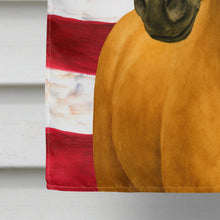 Load image into Gallery viewer, Palomino Missouri Fox Trotter Horse American House Flag
