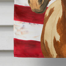 Load image into Gallery viewer, Chestnut Overo Paint Horse American House Flag