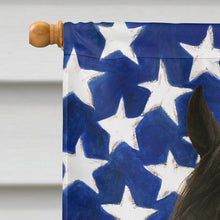 Load image into Gallery viewer, Black Paso Fino Horse American House Flag
