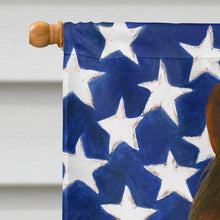 Load image into Gallery viewer, Chestnut Paso Fino Horse American House Flag