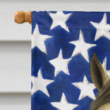 Load image into Gallery viewer, Gray Paso Fino Horse American House Flag