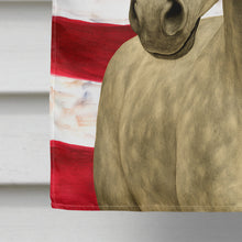 Load image into Gallery viewer, Gray Paso Fino Horse American House Flag