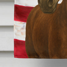 Load image into Gallery viewer, Chocolate Rocky Mountain Horse with Flaxen Mane American House Flag