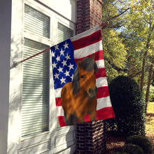 Load image into Gallery viewer, Bay Shetland Pony American House Flag