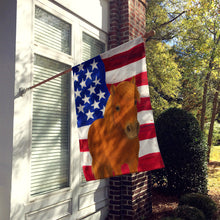 Load image into Gallery viewer, Chestnut Shetland Pony American House Flag