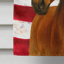 Load image into Gallery viewer, Bay Tennessee Walking Horse American House Flag