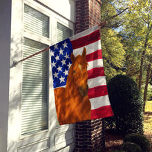 Load image into Gallery viewer, Chestnut Tennessee Walking Horse American House Flag
