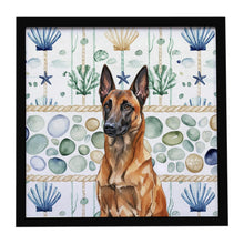 Load image into Gallery viewer, Mahogany Belgian Malinois Coastal Sea Glass Framed Metal Print