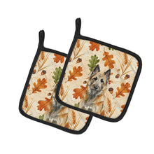 Load image into Gallery viewer, Belgian Laekenois Heirloom Fall Pair of Pot Holders