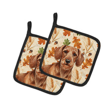 Load image into Gallery viewer, Wirehaired Red Dachshund Heirloom Fall Pair of Pot Holders