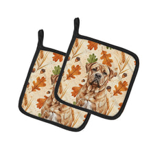 Load image into Gallery viewer, Dogue de Bordeaux Heirloom Fall Pair of Pot Holders