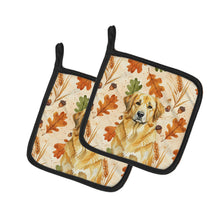 Load image into Gallery viewer, Lion Yellow Leonberger Heirloom Fall Pair of Pot Holders