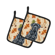 Load image into Gallery viewer, Black Neapolitan Mastiff Heirloom Fall Pair of Pot Holders