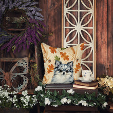 Load image into Gallery viewer, Blue Merle Pomeranian Heirloom Fall Throw Pillow