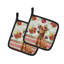 Load image into Gallery viewer, Red German Pinscher Vegetables Pair of Pot Holders