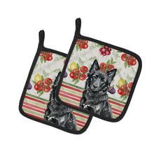 Load image into Gallery viewer, Mudi Vegetables Pair of Pot Holders