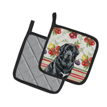Load image into Gallery viewer, Black Tibetan Mastiff Vegetables Pair of Pot Holders