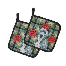 Load image into Gallery viewer, Blue American Staffordshire Terrier Christmas PoinsettIas Pair of Pot Holders